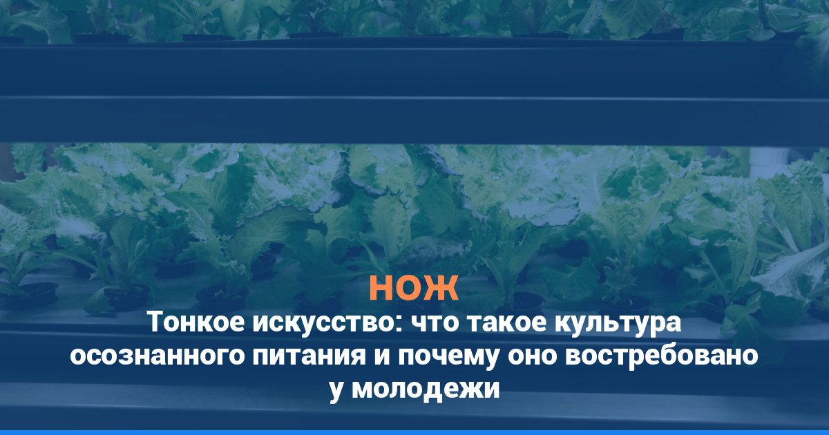 Тонкое искусство: что такое культура осознанного питания и почему оно востребовано у молодежи