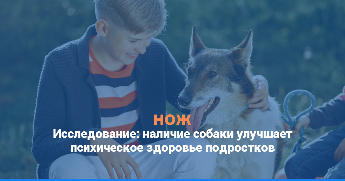 Исследование: наличие собаки улучшает психическое здоровье подростков