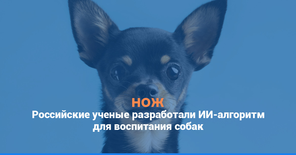 Российские ученые разработали ИИ-алгоритм для воспитания собак