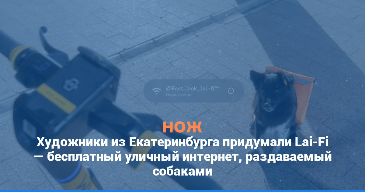 Художники из Екатеринбурга придумали Lai-Fi — бесплатный уличный интернет, раздаваемый собаками