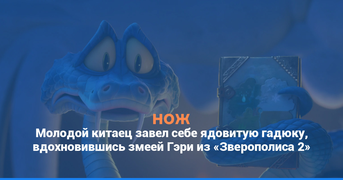 Молодой китаец завел себе ядовитую гадюку, вдохновившись змеей Гэри из «Зверополиса 2»
