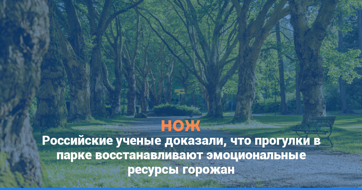 Российские ученые доказали, что прогулки в парке восстанавливают эмоциональные ресурсы горожан
