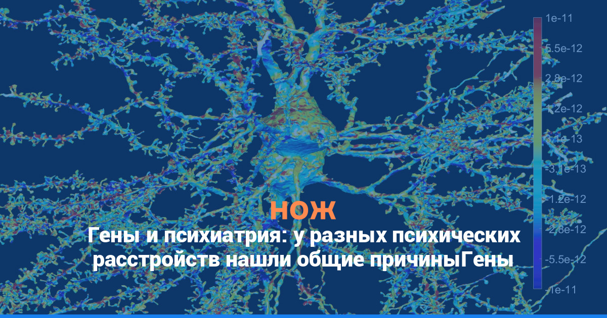 Гены и психиатрия: у разных психических расстройств нашли общие причины