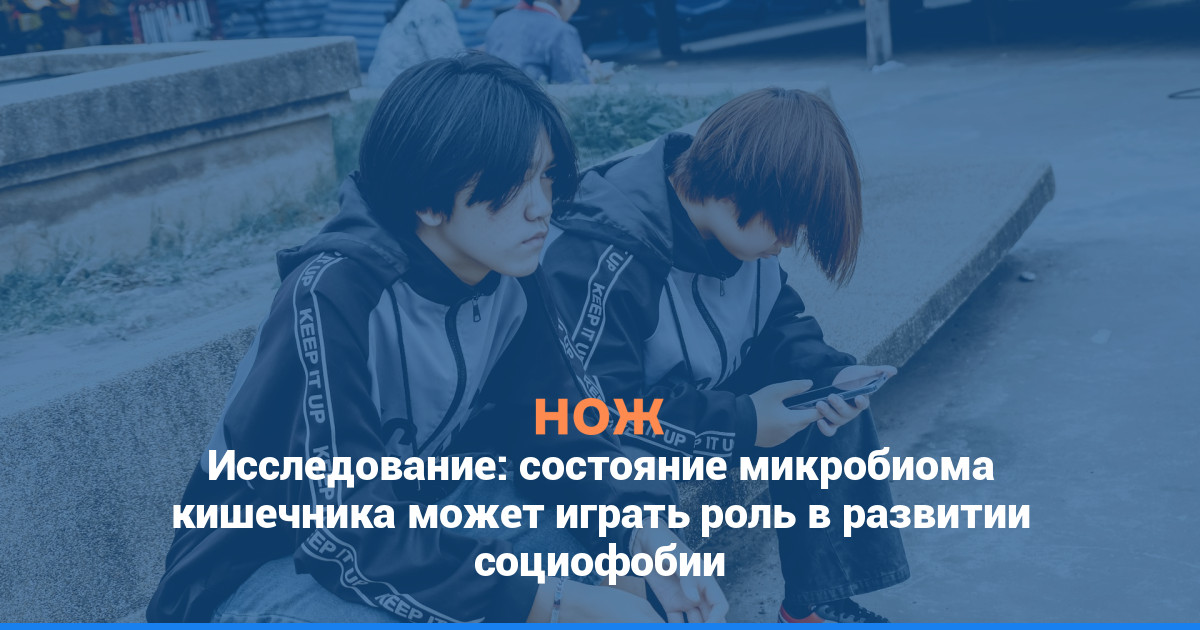 Исследование: состояние микробиома кишечника может играть роль в развитии социофобии
