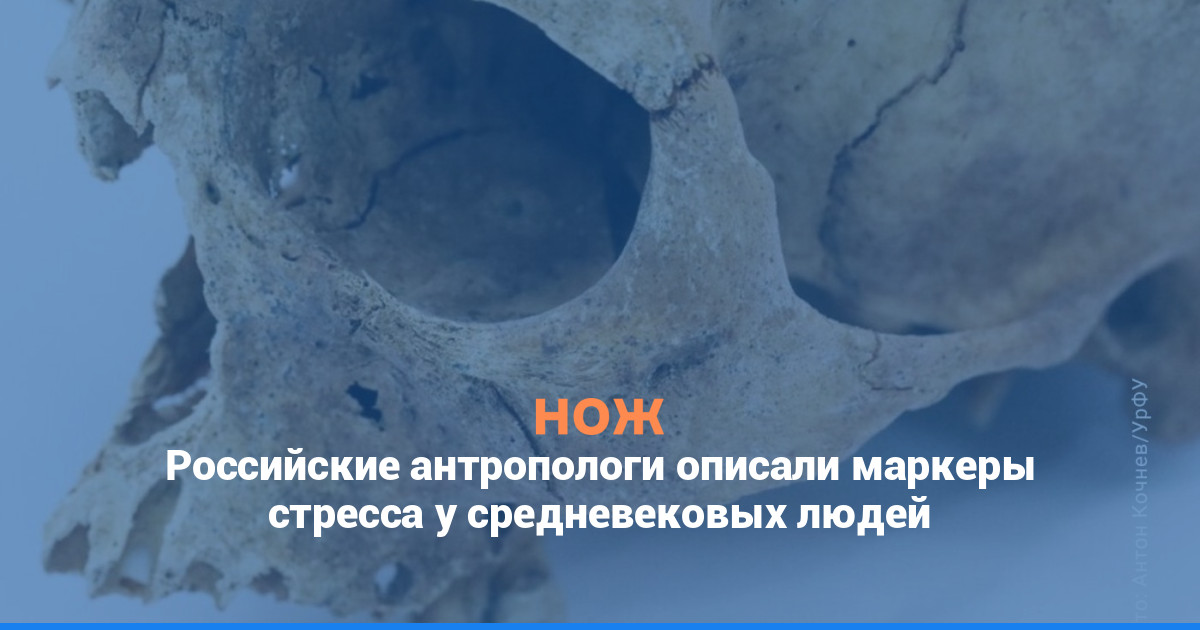 Российские антропологи описали маркеры стресса у средневековых людей