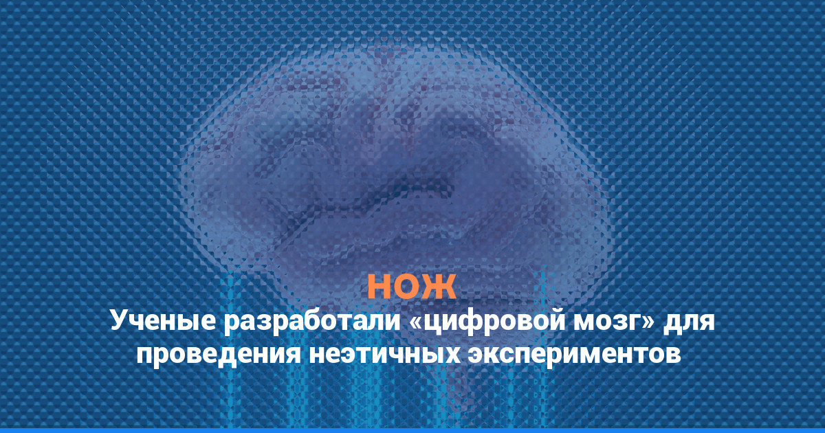 Ученые разработали «цифровой мозг» для проведения неэтичных экспериментов