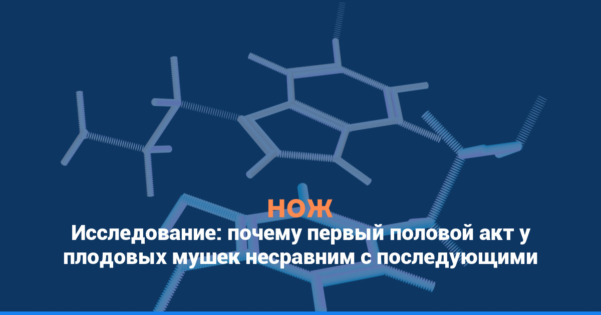 Исследование: почему первый половой акт у плодовых мушек несравним с последующими