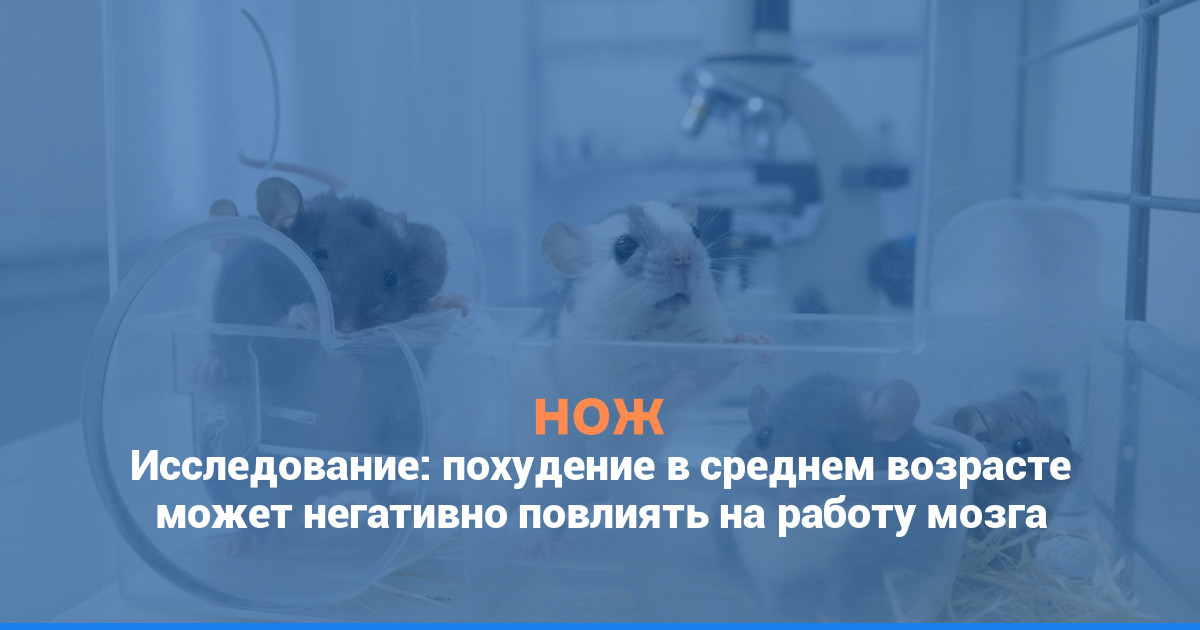 Исследование: похудение в среднем возрасте может негативно повлиять на работу мозга