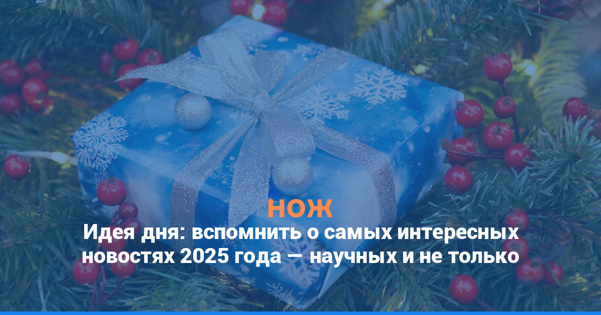 Идея дня: вспомнить о самых интересных новостях 2025 года — научных и не только