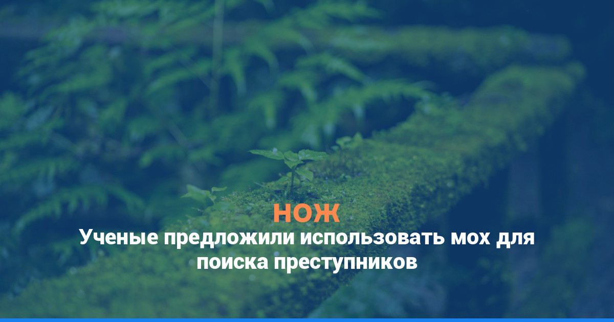 Ученые предложили использовать мох для поиска преступников
