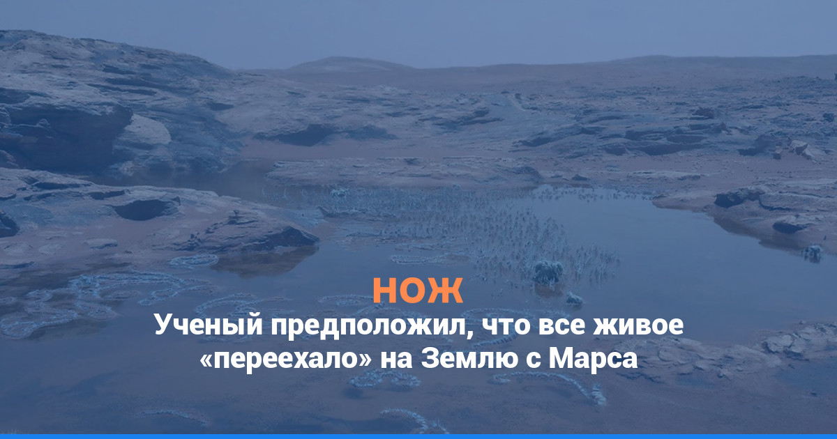 Ученый предположил, что все живое «переехало» на Землю с Марса