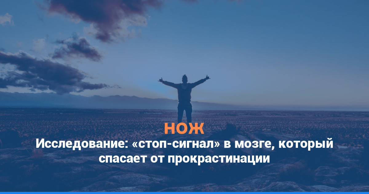 Исследование: «стоп-сигнал» в мозге, который спасает от прокрастинации