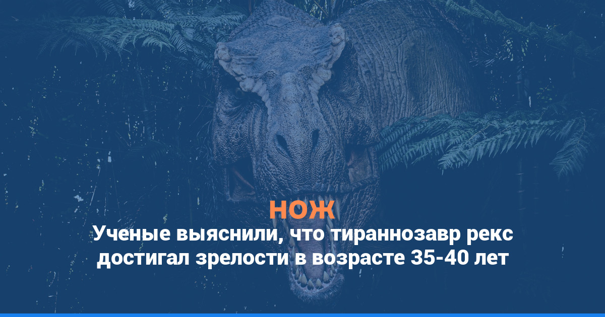Ученые выяснили, что тираннозавр рекс достигал зрелости в возрасте 35–40 лет