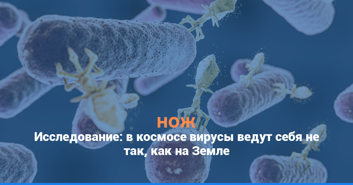 Исследование: в космосе вирусы ведут себя не так, как на Земле