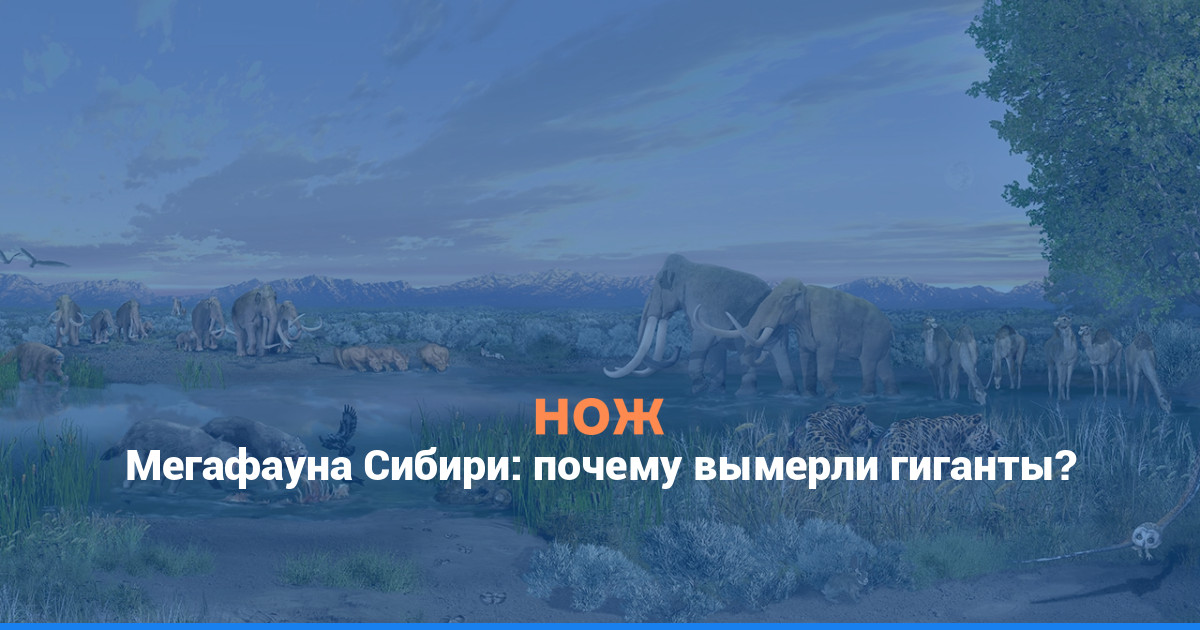 Мегафауна Сибири: почему вымерли гиганты?