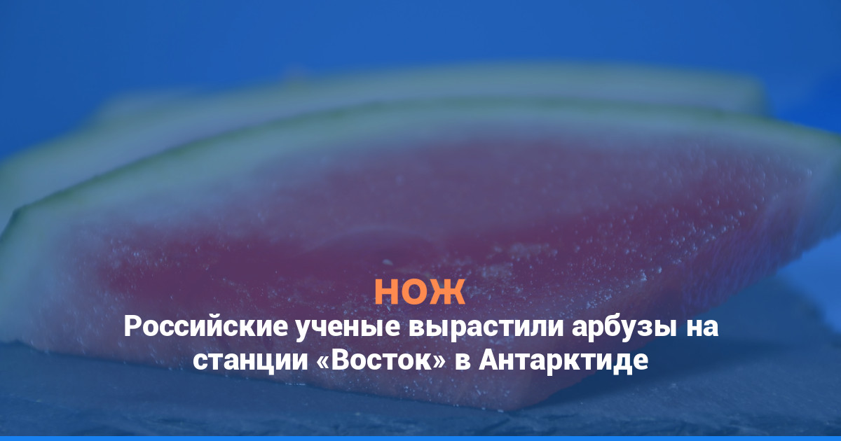 Российские ученые вырастили арбузы на станции «Восток» в Антарктиде