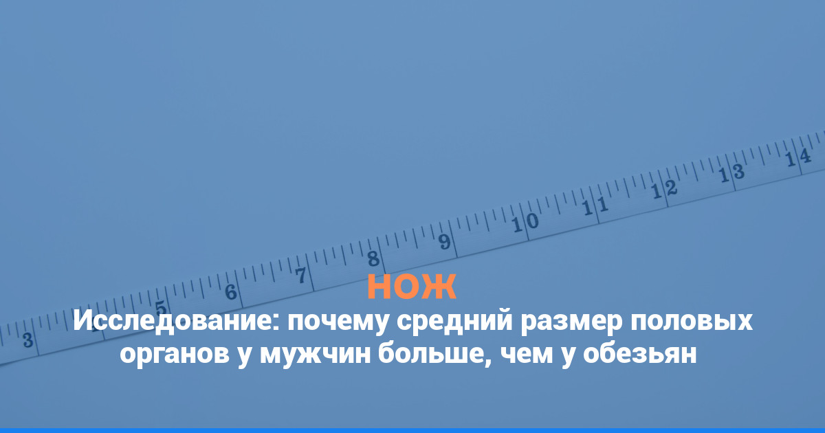Исследование: почему средний размер половых органов у мужчин больше, чем у обезьян