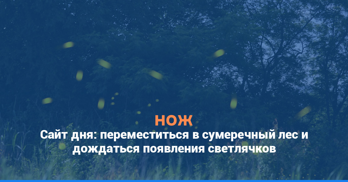 Сайт дня: переместиться в сумеречный лес и дождаться появления светлячков