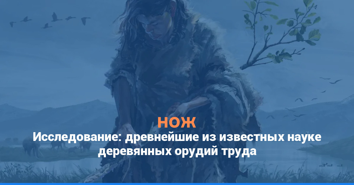 Исследование: древнейшие из известных науке деревянных орудий труда