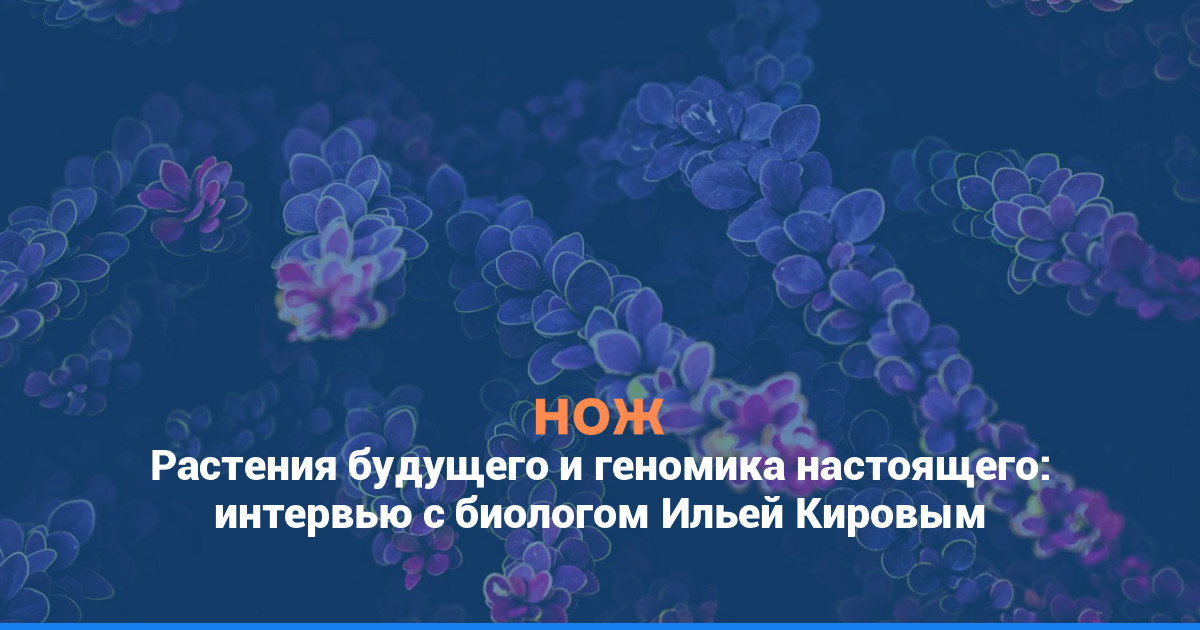 Растения будущего и геномика настоящего: интервью с биологом Ильей Кировым