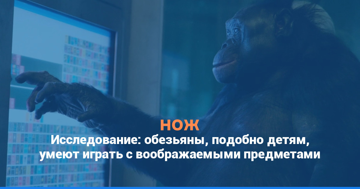 Исследование: обезьяны, подобно детям, умеют играть с воображаемыми предметами