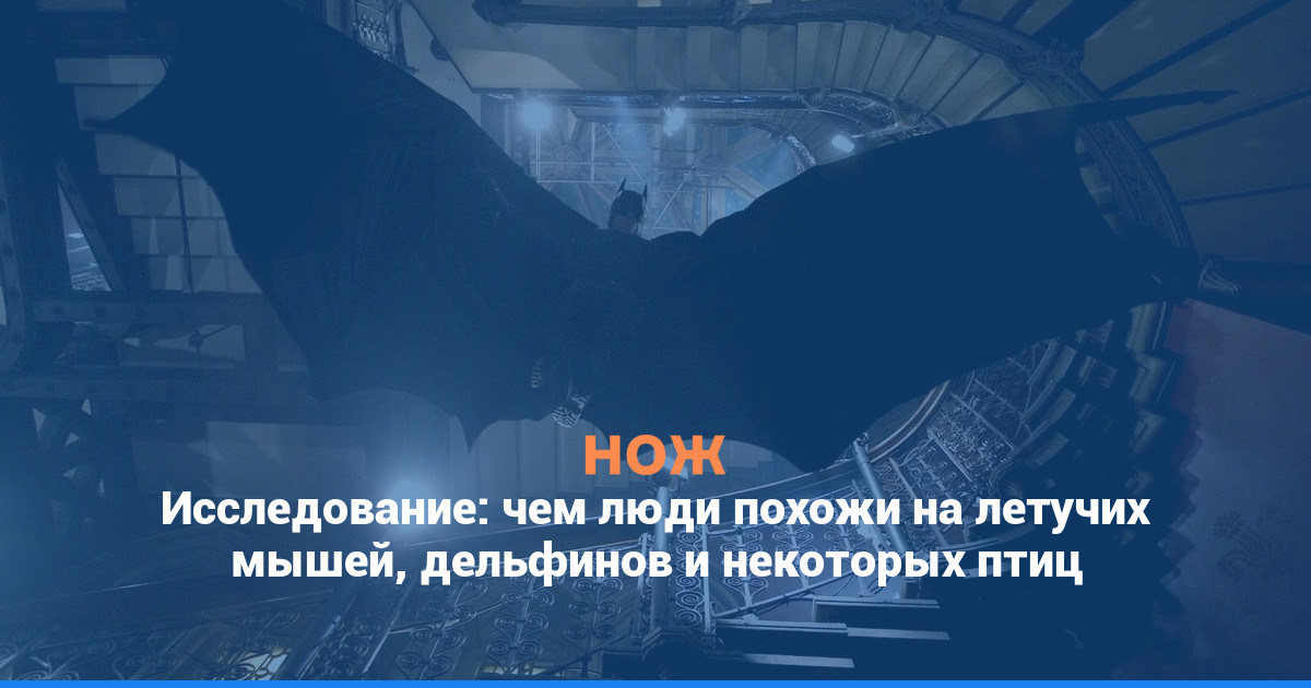 Исследование: чем люди похожи на летучих мышей, дельфинов и некоторых птиц