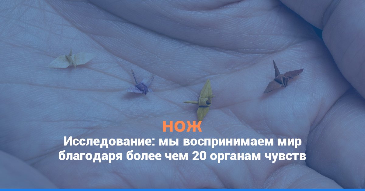 Исследование: мы воспринимаем мир благодаря более чем 20 органам чувств