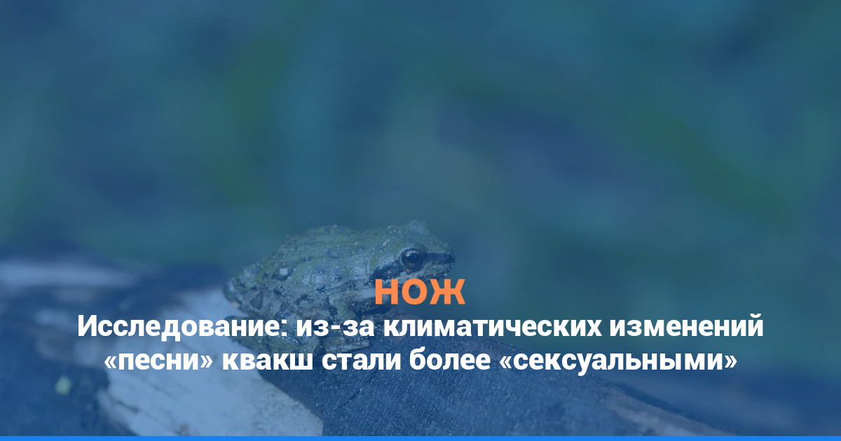 Исследование: из-за климатических изменений «песни» квакш стали более «сексуальными»