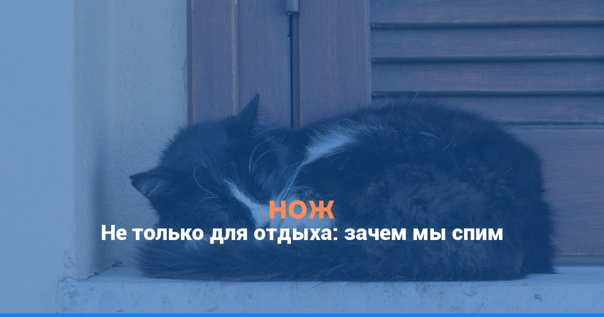 Не только для отдыха: зачем мы спим