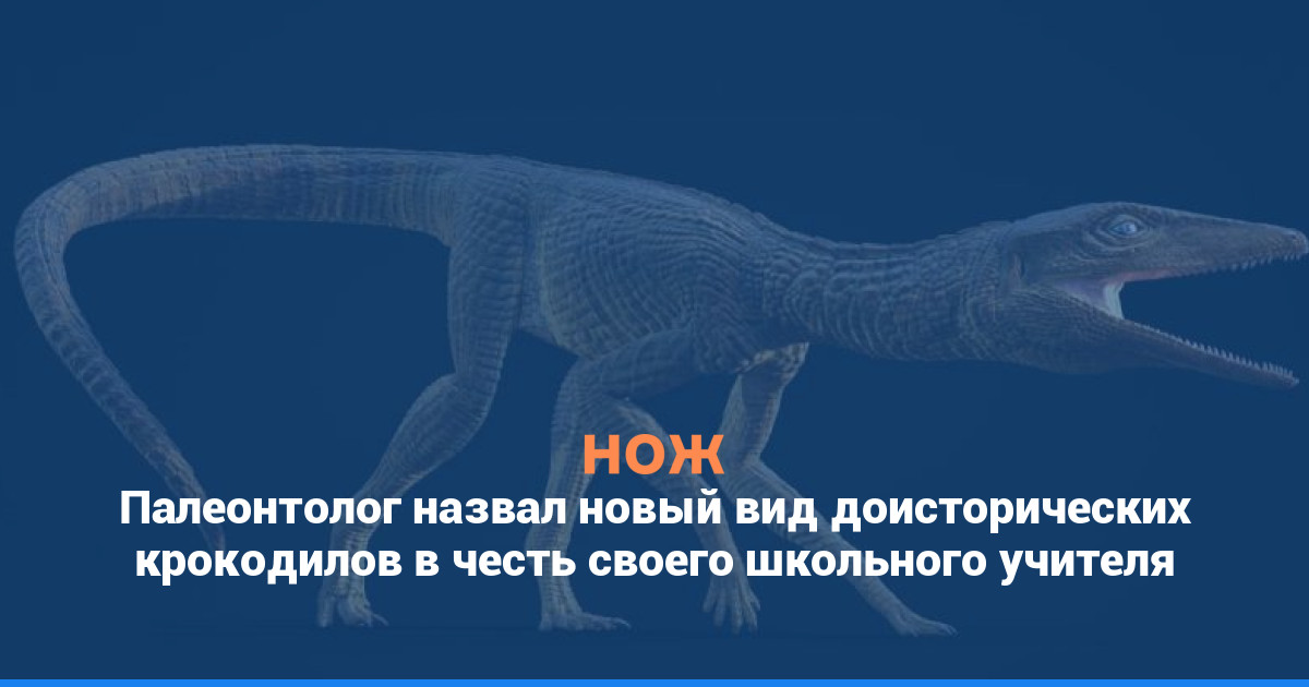 Палеонтолог назвал новый вид доисторических крокодилов в честь своего школьного учителя