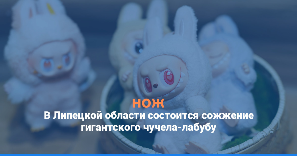 В Липецкой области состоится сожжение гигантского чучела-лабубу