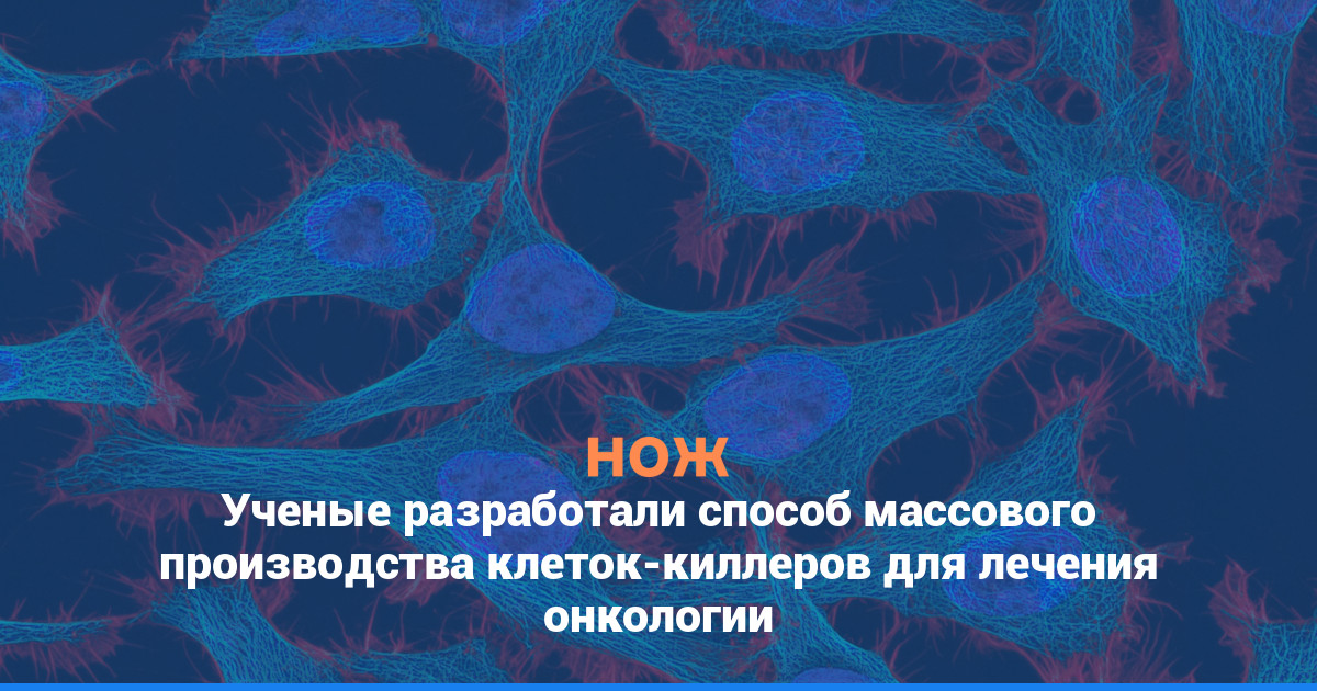Ученые разработали способ массового производства клеток-киллеров для лечения онкологии