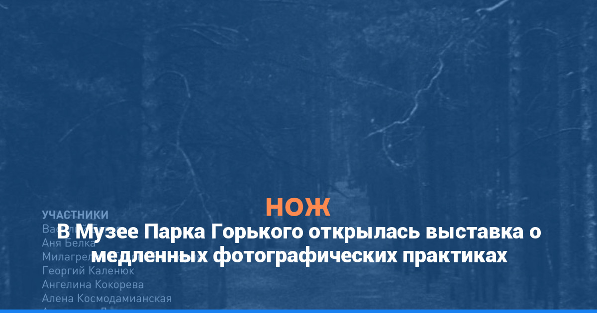 В Музее Парка Горького открылась выставка о медленных фотографических практиках