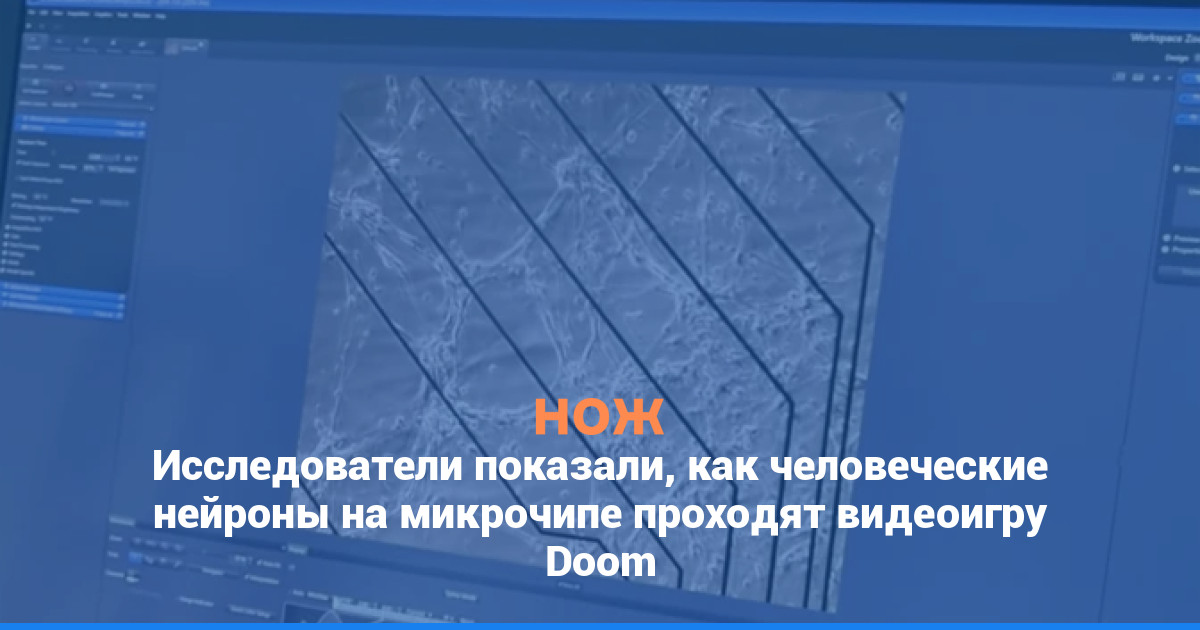 Исследователи показали, как человеческие нейроны на микрочипе проходят видеоигру Doom