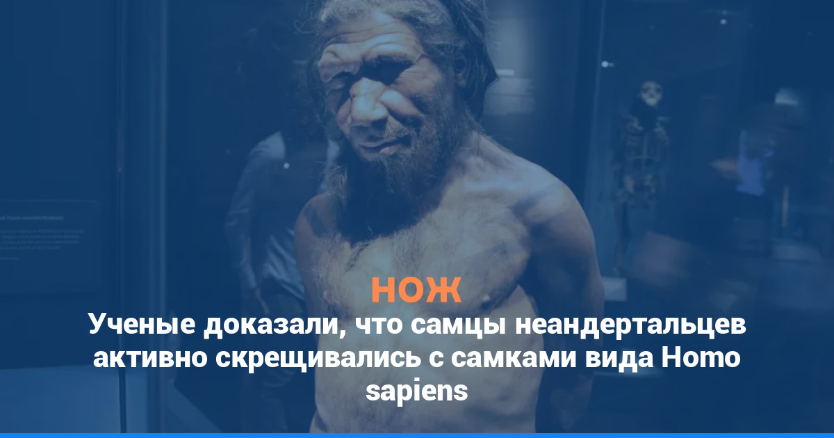 Ученые доказали, что самцы неандертальцев активно скрещивались с самками вида Homo sapiens