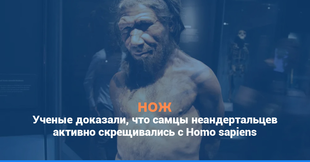 Ученые доказали, что неандертальцы особенно активно скрещивались с Homo sapiens