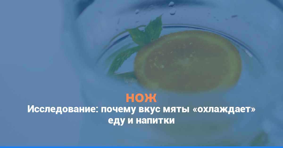 Исследование: почему вкус мяты «охлаждает» еду и напитки