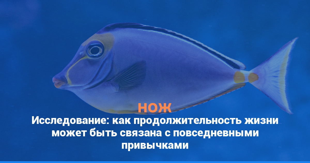 Исследование: как продолжительность жизни может быть связана с повседневными привычками