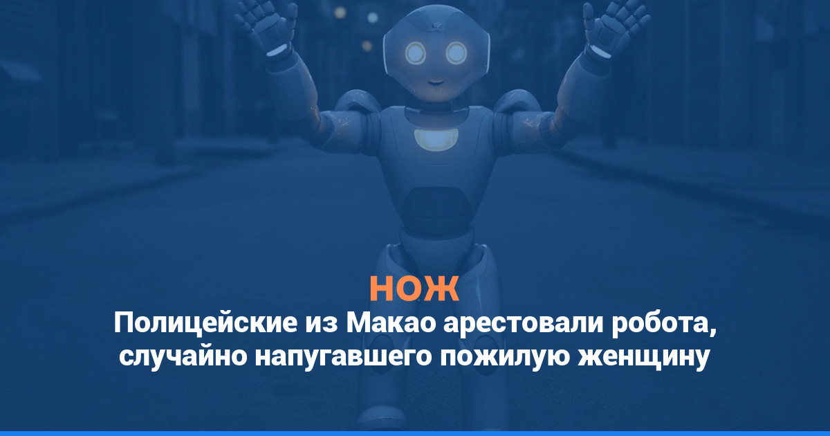 Полицейские из Макао арестовали робота, случайно напугавшего пожилую женщину