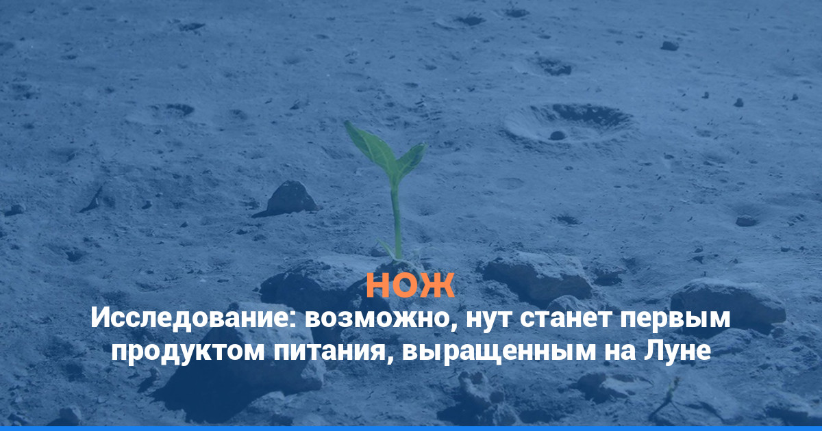 Исследование: возможно, нут станет первым продуктом питания, выращенным на Луне