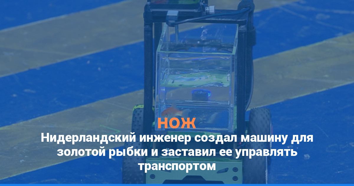 Нидерландский инженер создал машину для золотой рыбки и заставил ее управлять транспортом