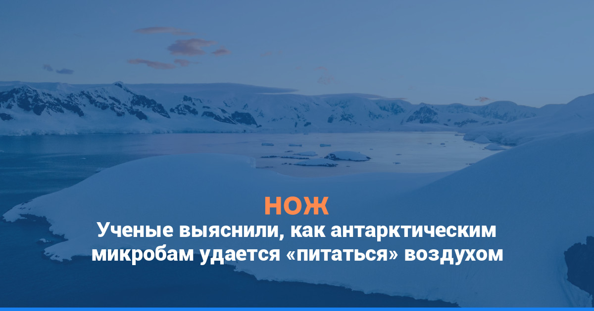 Ученые выяснили, как антарктическим микробам удается «питаться» воздухом