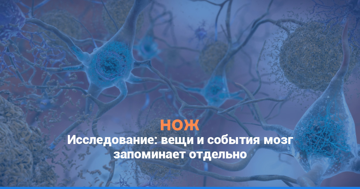 Исследование: вещи и события мозг запоминает отдельно