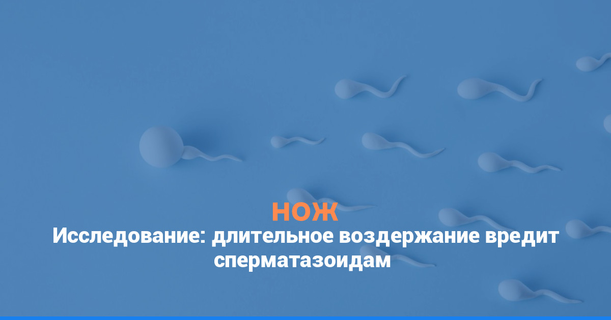 Исследование: длительное воздержание вредит сперматозоидам