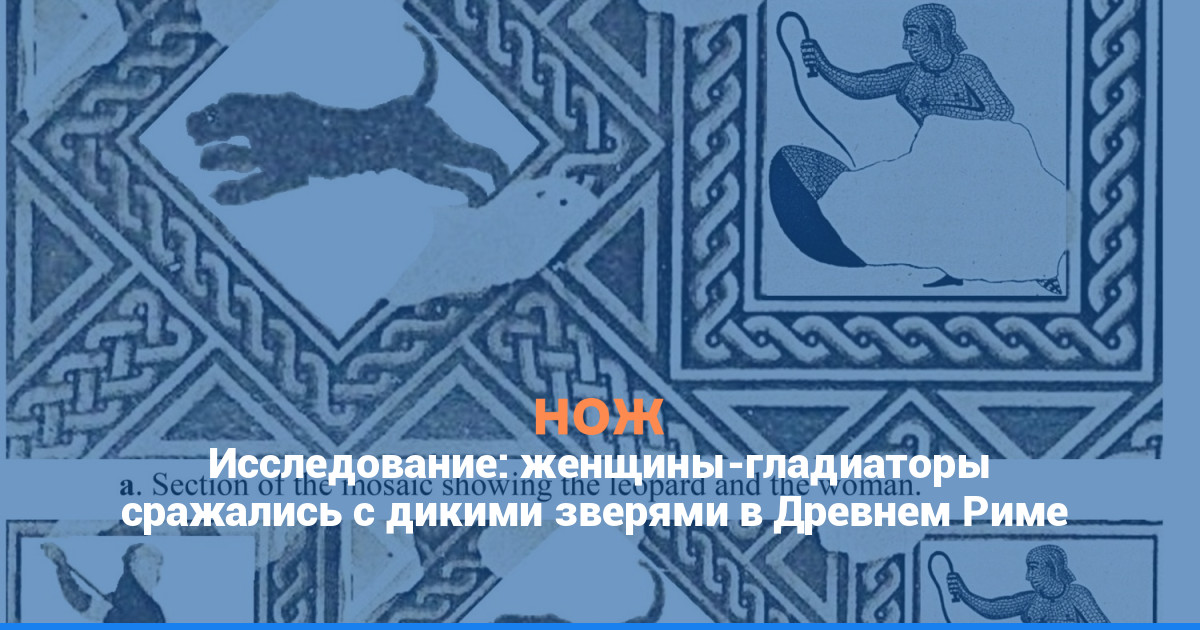 Исследование: женщины-гладиаторы сражались с дикими зверями в Древнем Риме