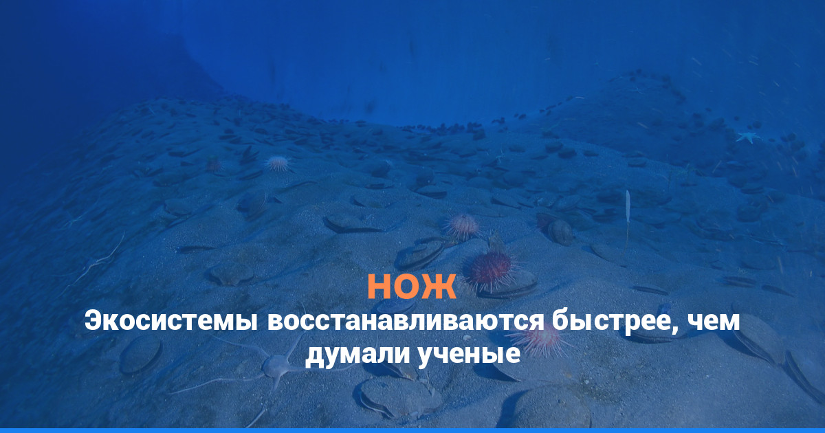Экосистемы восстанавливаются быстрее, чем думали ученые