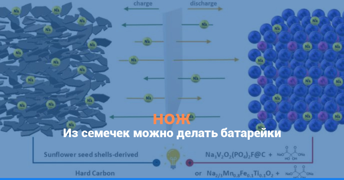 Из семечек можно делать батарейки