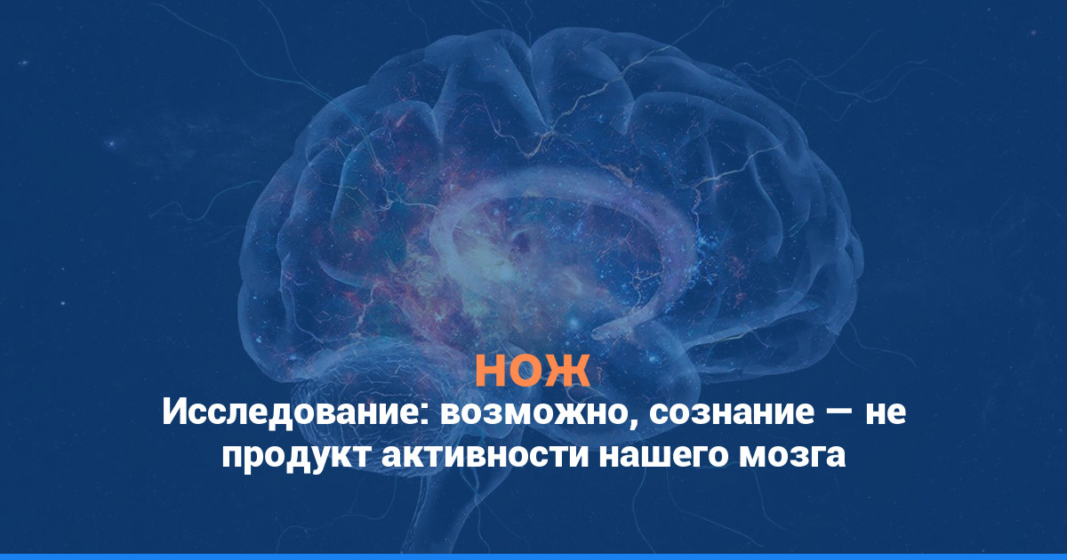 Исследование: возможно, сознание — не продукт активности нашего мозга