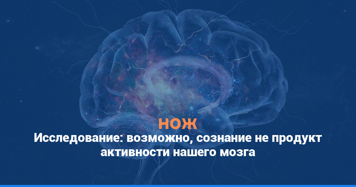 Исследование: возможно, сознание не продукт активности нашего мозга