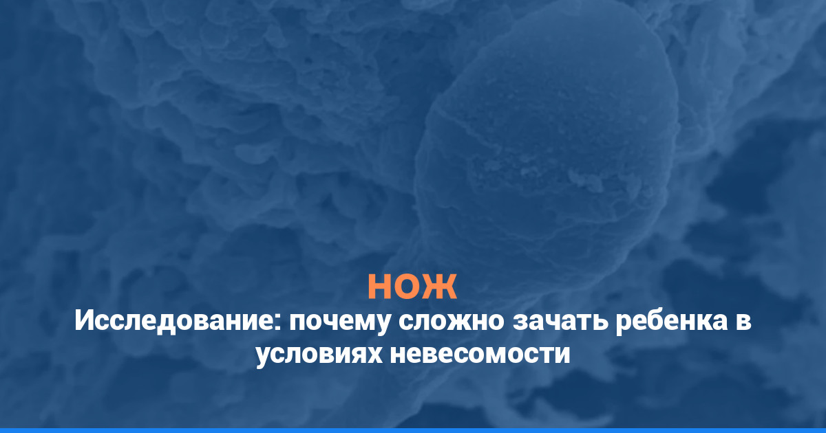 Исследование: почему сложно зачать ребенка в условиях невесомости
